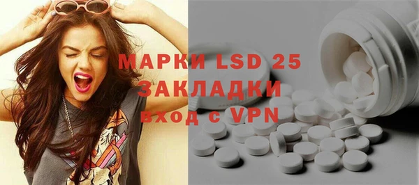 МДПВ Пересвет