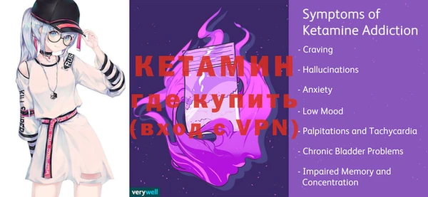 МДПВ Пересвет