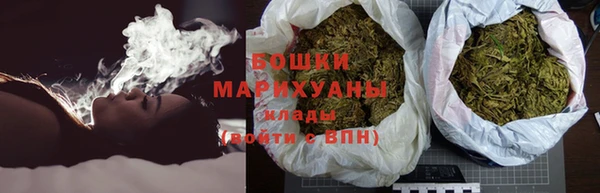 МДПВ Пересвет