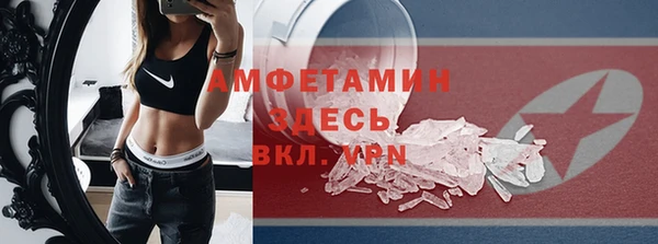 МДПВ Пересвет