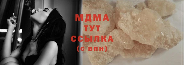 МДПВ Пересвет