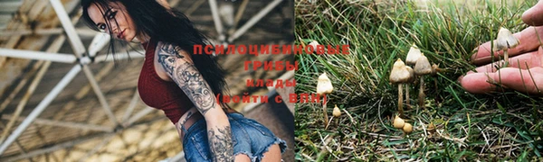амф Покровск