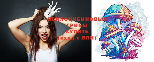 бутират Грязовец